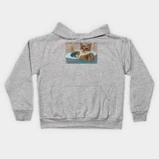 Furry Tabby Cat Blocking the Sink Kids Hoodie